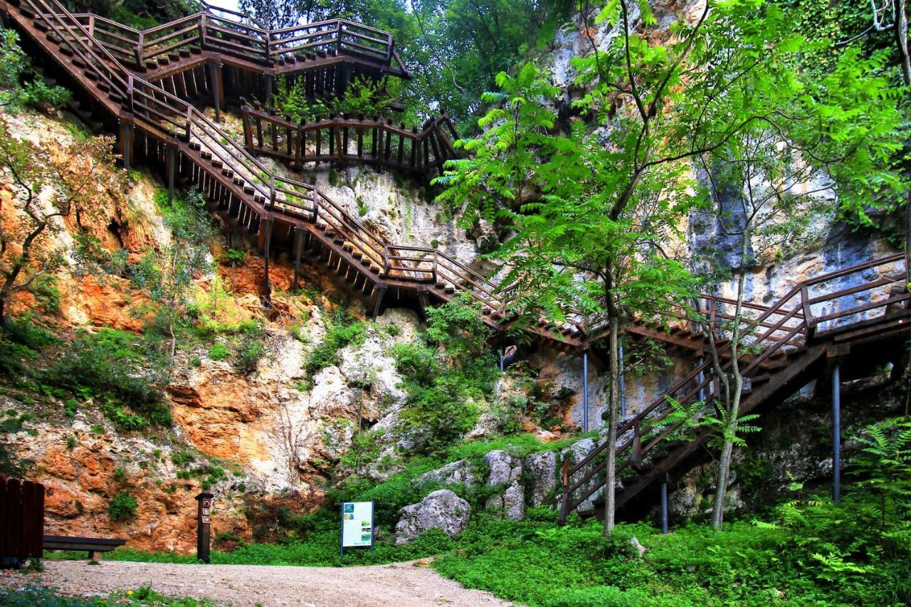 Villa Scolopax Rusticola Skradin With Heated Pool מראה חיצוני תמונה