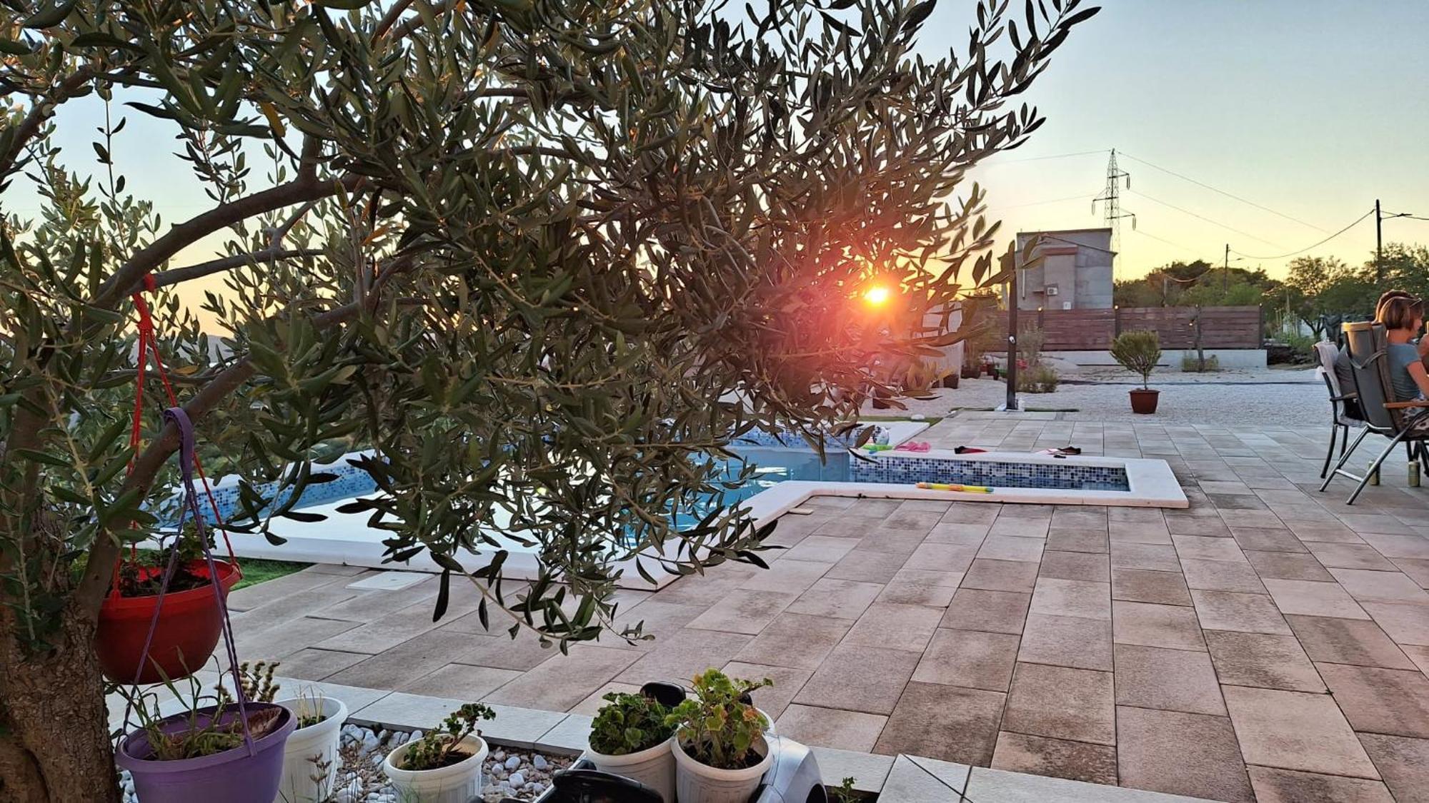 Villa Scolopax Rusticola Skradin With Heated Pool מראה חיצוני תמונה